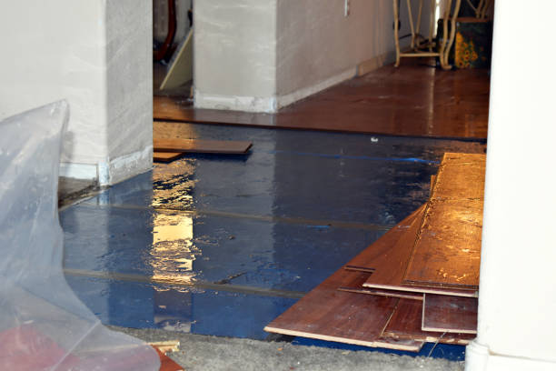 Professional Flood Cleanup technician working in Hallsville, MO